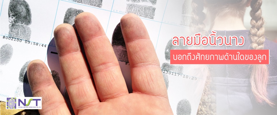 ลายมือนิ้วนางบอกถึงศักยภาพด้านใดของลูก